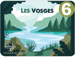boite à savon Vosges