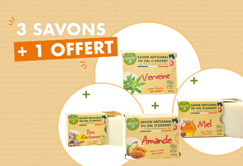 Offre 3+1