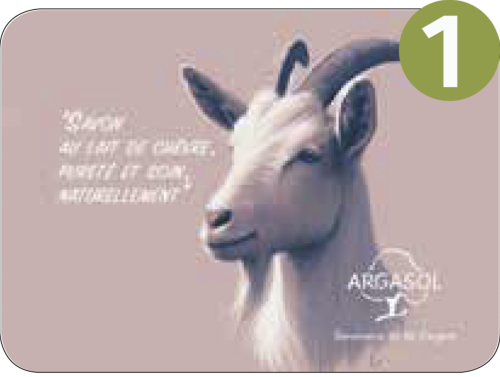 Anesse & Chèvre