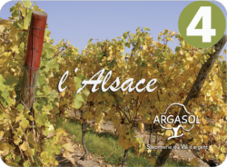Alsace Tradition