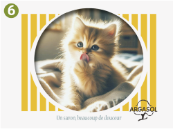 Chats