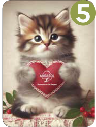 Chats tradi