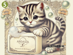 Chats