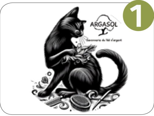 Chats Tatoo