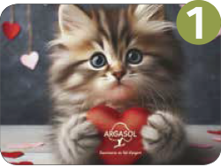 Chats tradi