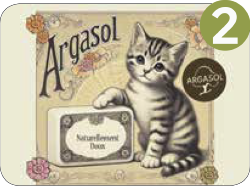 Chats tradi