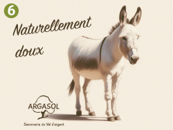 Anesse & Chèvre
