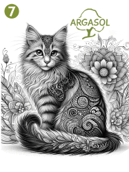 Chats