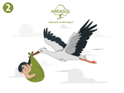 Cigognes