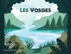 boite à savon Vosges