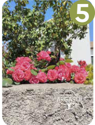 Floral - Nature