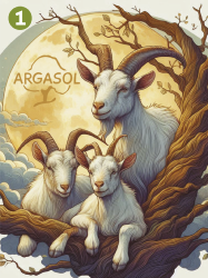 Anesse & Chèvre