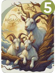 Anesse & Chèvre
